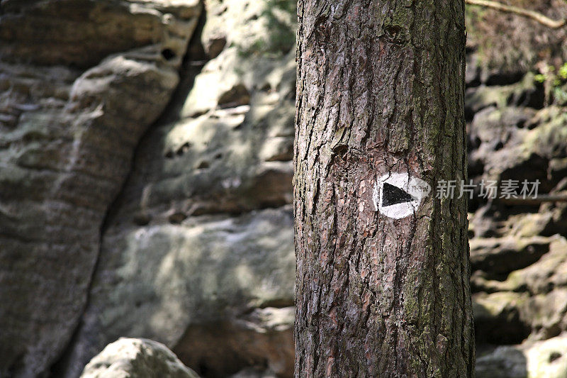 Zeichen am Baum，在树上签名